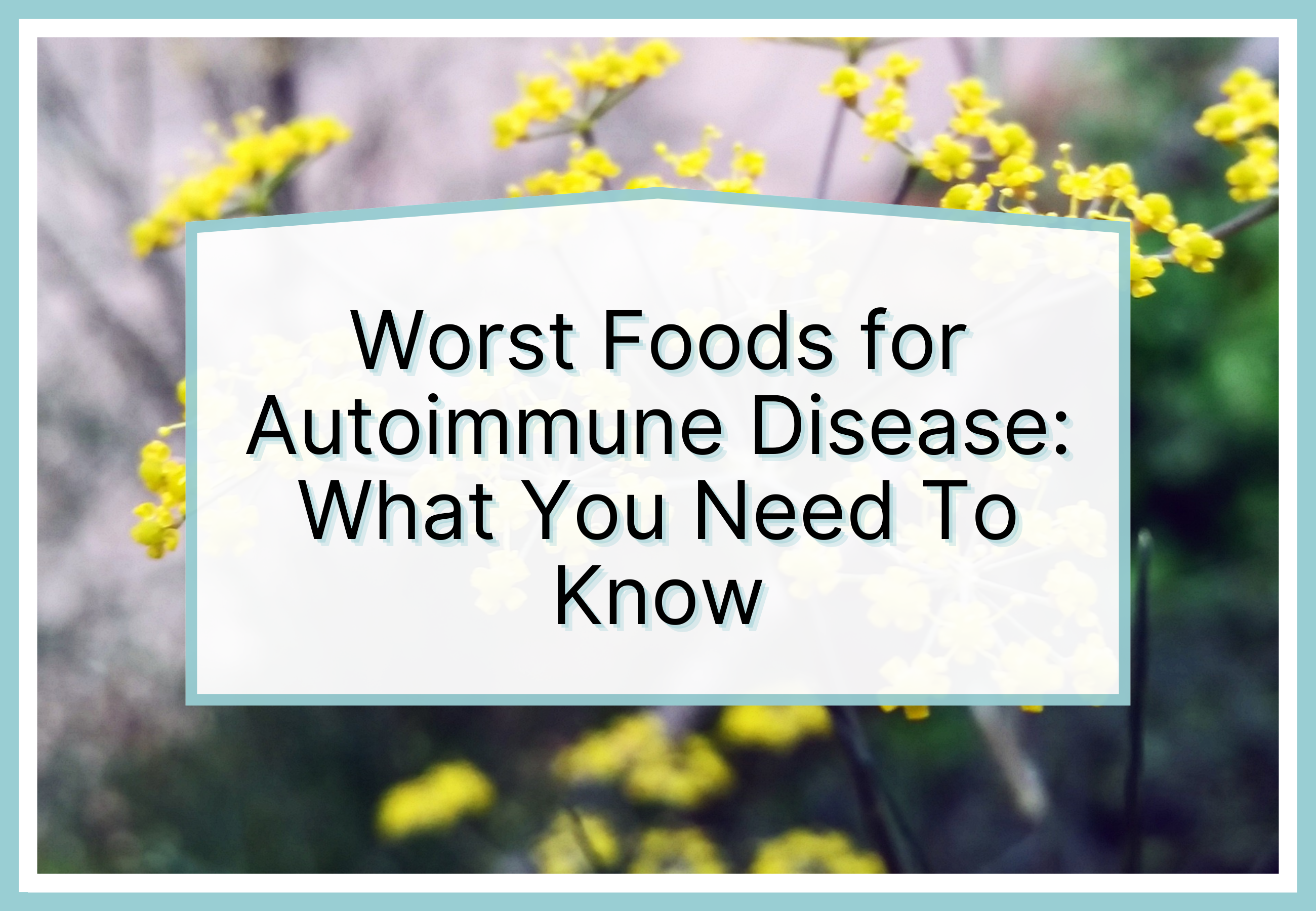 Worst Foods for Autoimmune Disease: What You Need To Know